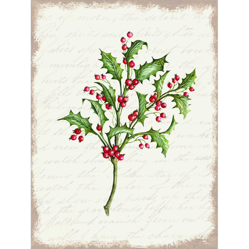 «Holly Christmas Botanical» par Cindy Jacobs - reproduction d'art sur toile tendue, H 16 po x l 12 po