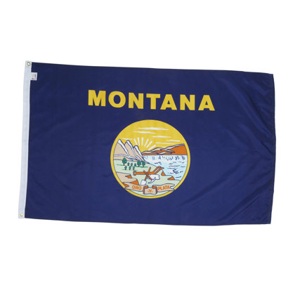 Drapeau de maison State