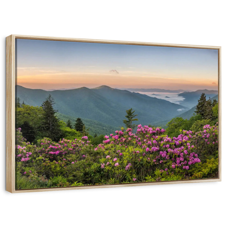 Blue Ridge Mountains View, 19 po x 13 po, Cadre flottant en bois naturel