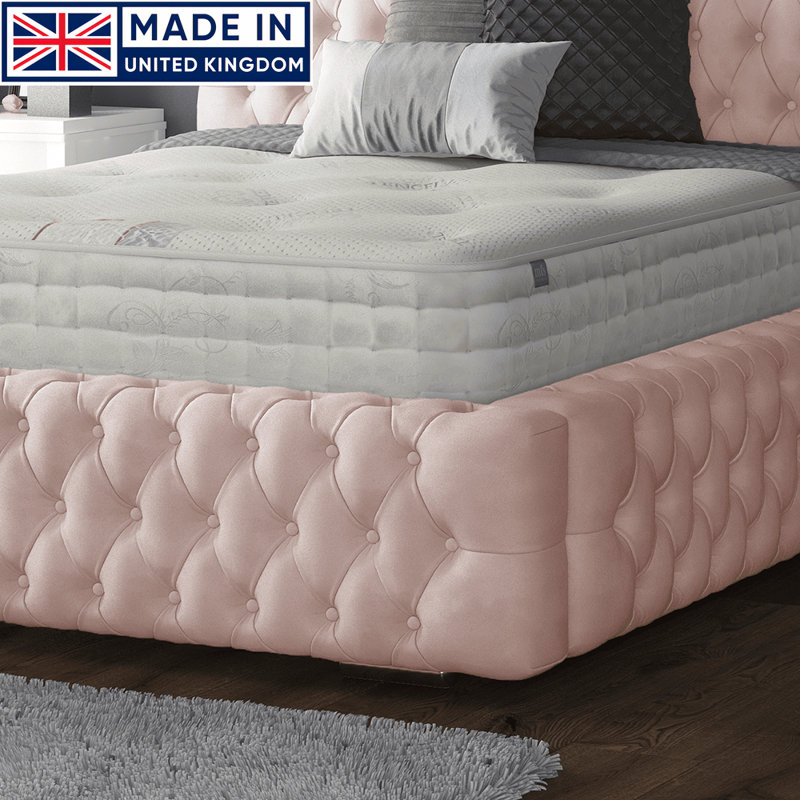 Clovis Upholstered Bed, Single (3'), Pink, Plush Velvet