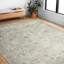 Tapis beige tissé à la machine Dallyn-1126945268