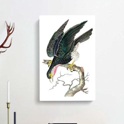 Blue Falcon by George Shaw - Wrapped Canvas