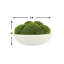 5" Artificial Moss Plant in Planter-729850857
