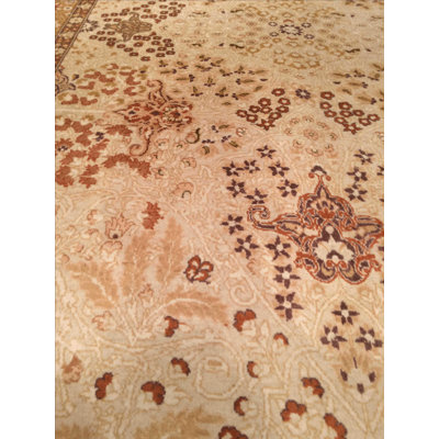 Oriental Area Rug in Beige