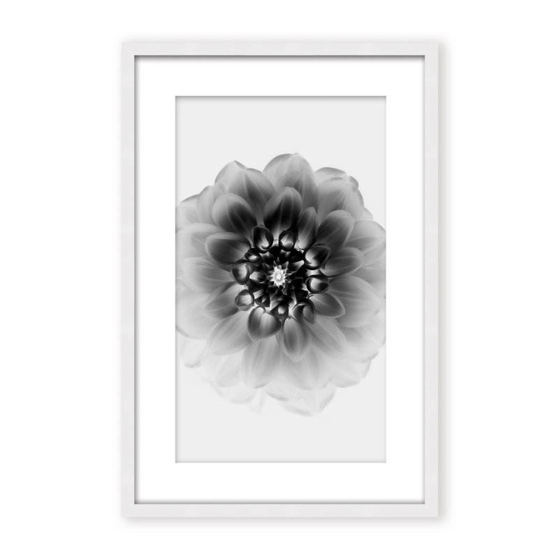 X-Ray Print by Alex Zhao, 48" H x 32" W x 1.125" D, Black, Framed Matted Print