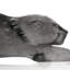 Zeila Panther Figurine-32900839-43272541