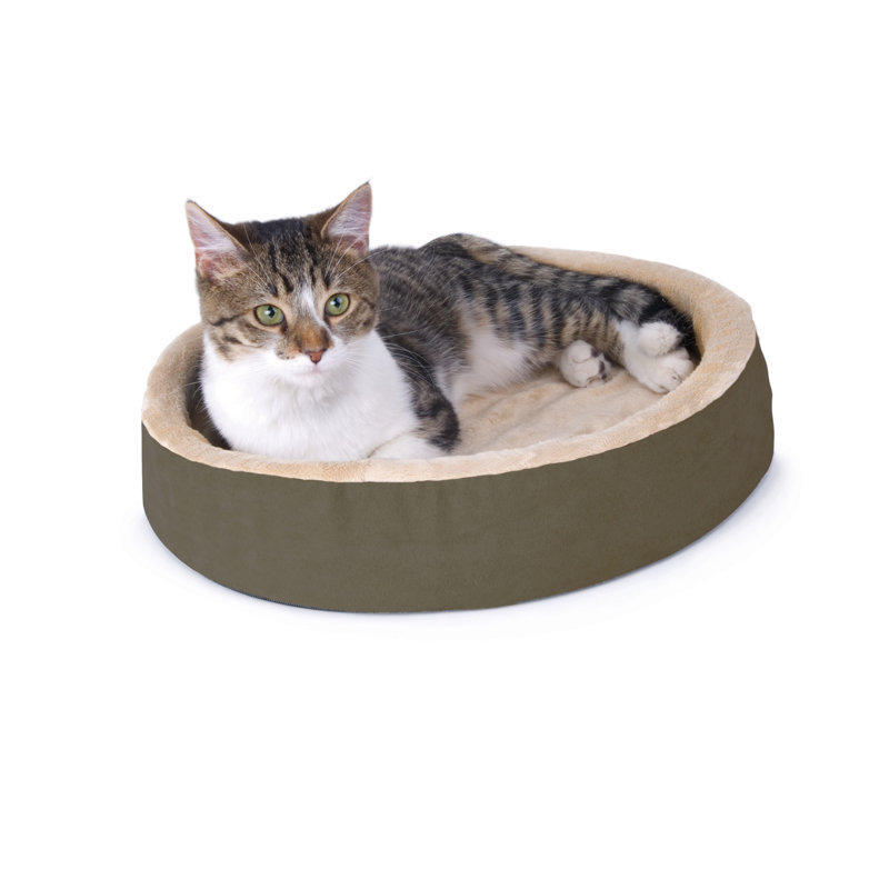 Lit rond pour chat