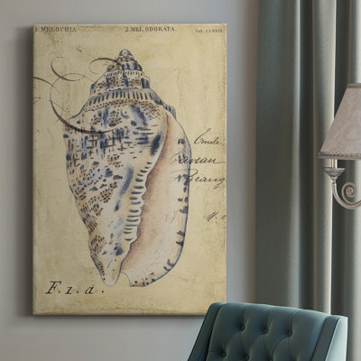 " Seashell Ephemera I "