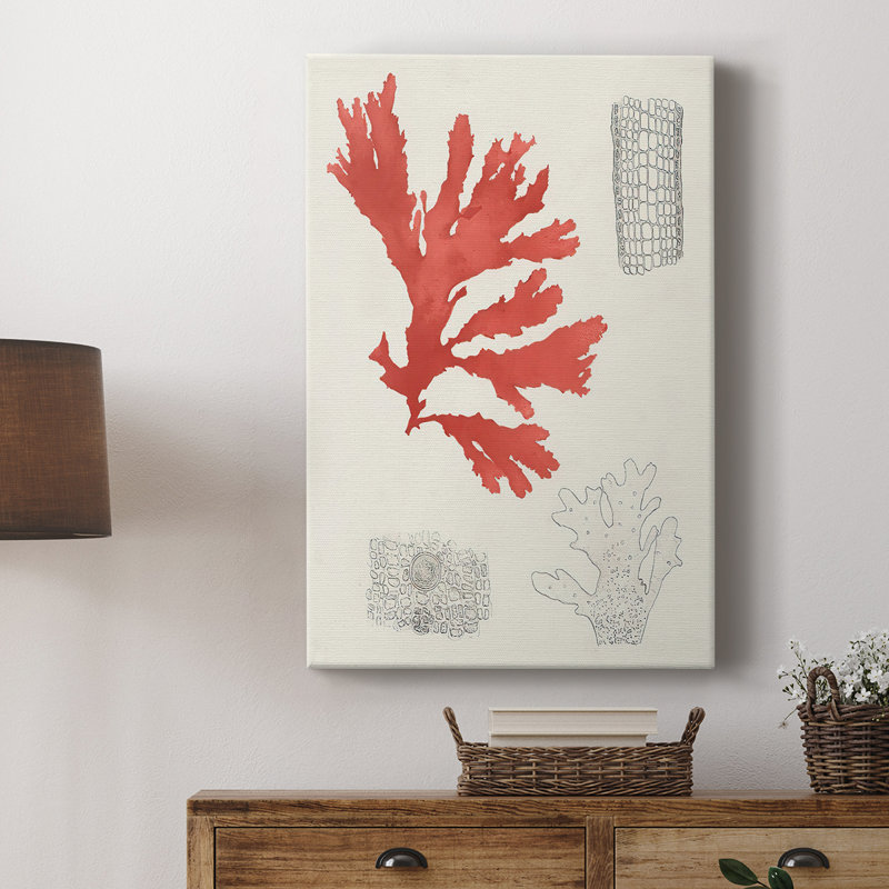 Étude de corail rétro III - galerie Cavas sur mesure, H 60 po x l 40 po