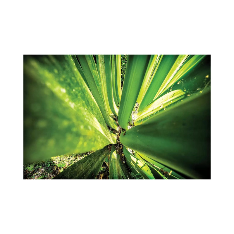 Tropical Forest VIII - Wrapped Canvas Print, 20.32cm H x 30.48cm W x 1.905cm D