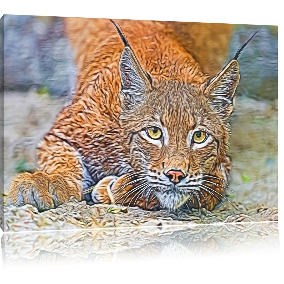 Leinwandbild Wachsamer Luchs in Braun/Grau