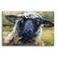 «Bless Ewe» par CR Townsend, art mural en verre acrylique-680589654
