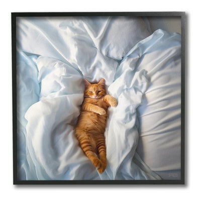 «Sprawled Orange Cat», art de la giclée encadrée par RB