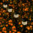 Low Voltage Solar Powered Integrated LED Pathway Light Pack