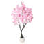 Plant-702813596
