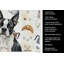 Torchon Boston Terrier-1234934567