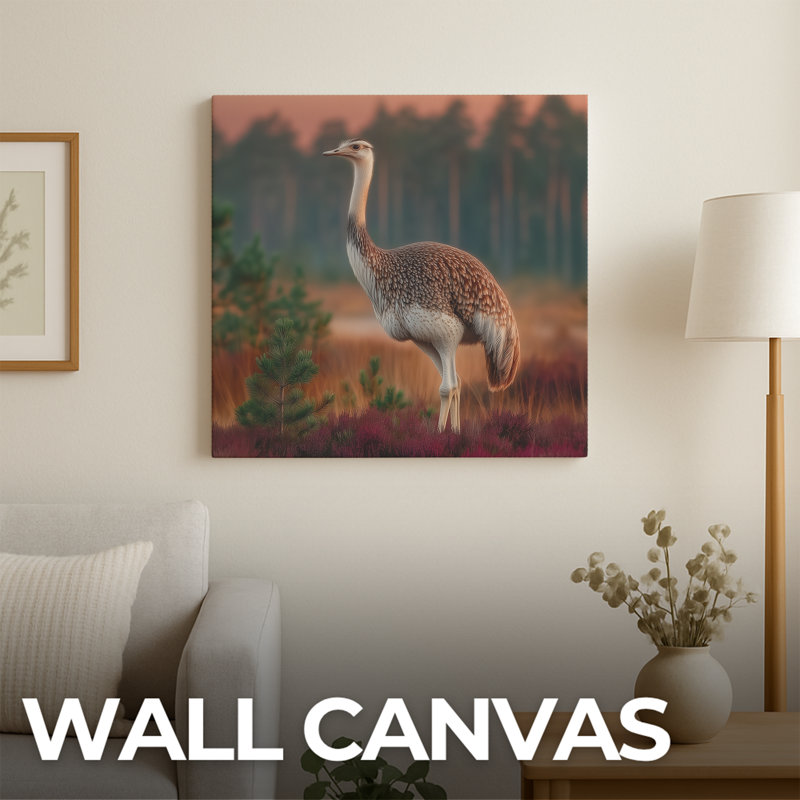 Autruche, art mural encadré par DC - impressions murales encadrées | Toile, images pour la vie, la chambre à coucher, le bureau, affiche de photos de décoration murale sur toile, | 16 x 20