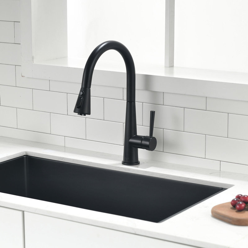 OAKLAND Single Handle Pull Down Kitchen Faucet, Matte Black