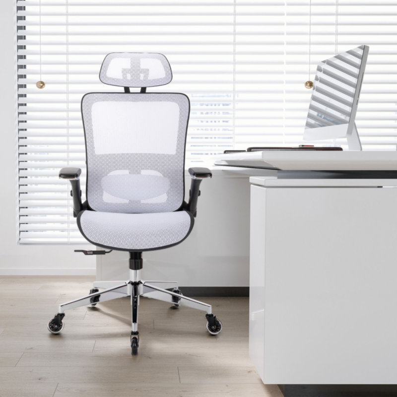 Fauteuil de bureau Ergo Mesh, Blanc, Clair