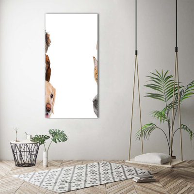 Dogs And Cats - Wrapped Canvas Print