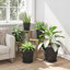 Planter