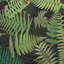 Schumacher x Clements Ribeiro Fernarium Fabric-30053661