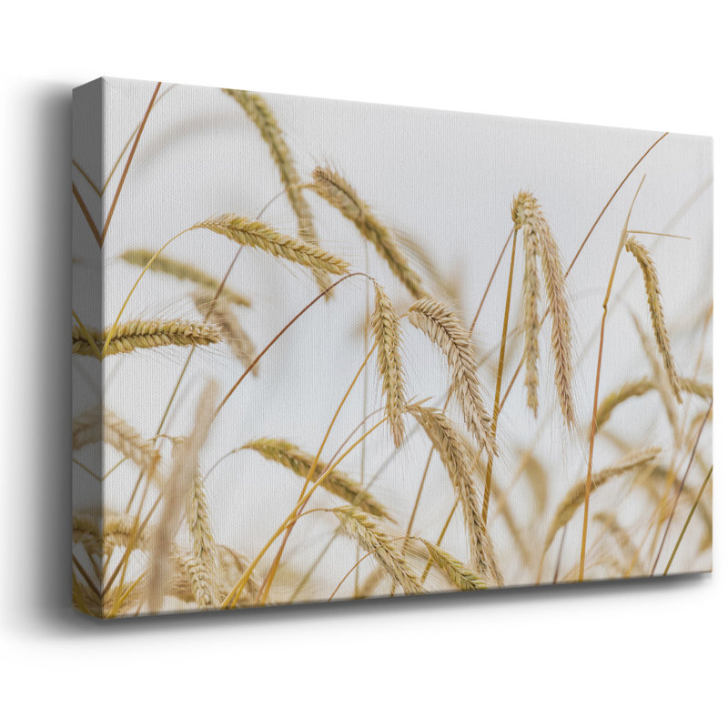 Toile tendue avec châssis Wheat Premium - prête à être accrochée, H 18 po x l 27 po