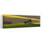 Paysage doré, heure d'or, paysage classique, paisible, architecture rustique, paysage, art mural-1028056315