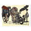 «Native American in Moto», impression-29496116-34270892