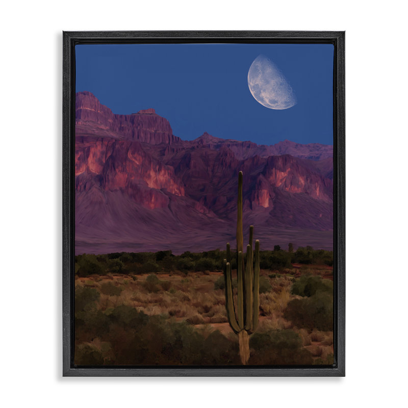 Cadre flottant Cactus In The Mountains, design par Renel Peters, H 31 po x l 25 po, Cadre flottant noir de jais