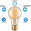 Pack-3, LED E27 Light Bulb, A60 8W (60W Equivalent) Warm White 2700K Dimmable 806Lumen ES Screw GLS Vintage Amber Glass Globe Energy Saving Home Decorative Light Bulbs
