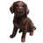 Fudge - Chocolate is out of stock