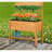 Elevated Garden Raised Bed Solid Wood Planter Flower Herb Boxes