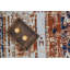 Tapis orange-1338727153