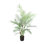 Outdoor UV Rated Kentia Palm Drop-In