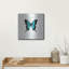 «Blue Butterfly» par PhotoINC Studio-1144051271