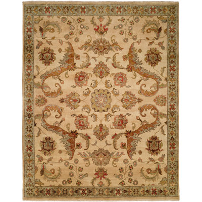 Wool Oriental Area Rug in Ivory