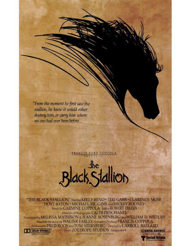 The Black Stallion, 18" H x 11" W