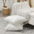 Set Of 2 Plush Pillow Inserts-121335029