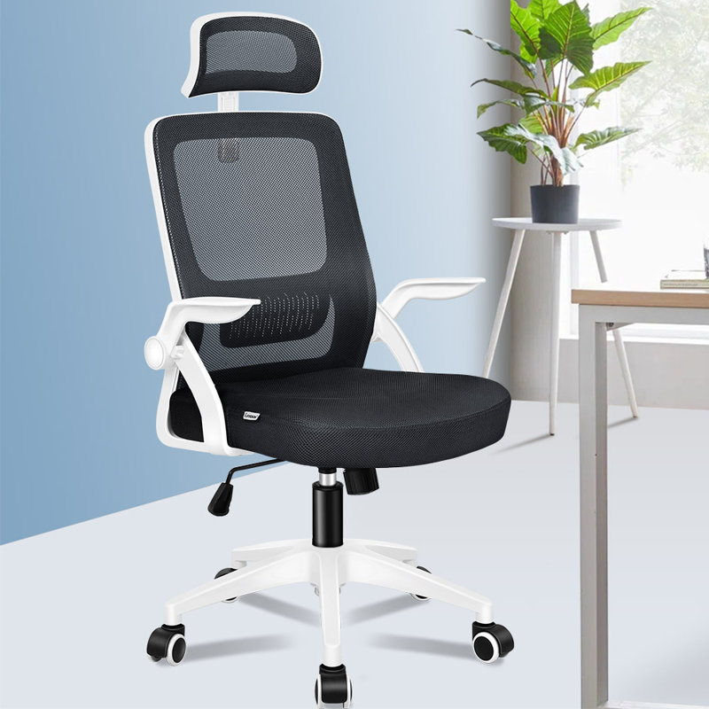 Mesh Desk Chair, Black, White