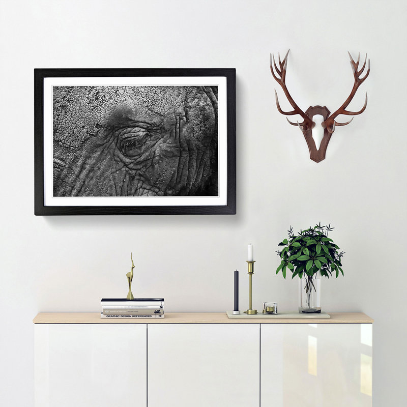 Elephant - Picture Frame Graphic Art Print, 48cm H x 65cm W x 2cm D, Black Framed