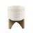 Blaisdell Pot Planter-101441930