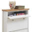 Foote 10 Pair Shoe Storage Cabinet