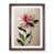 Walnut Framed Paper is unavailable