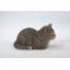 Statue de tabby marbré orange endormi-20595527