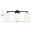 Argan 3 Light Frosted Dimmable Vanity Light