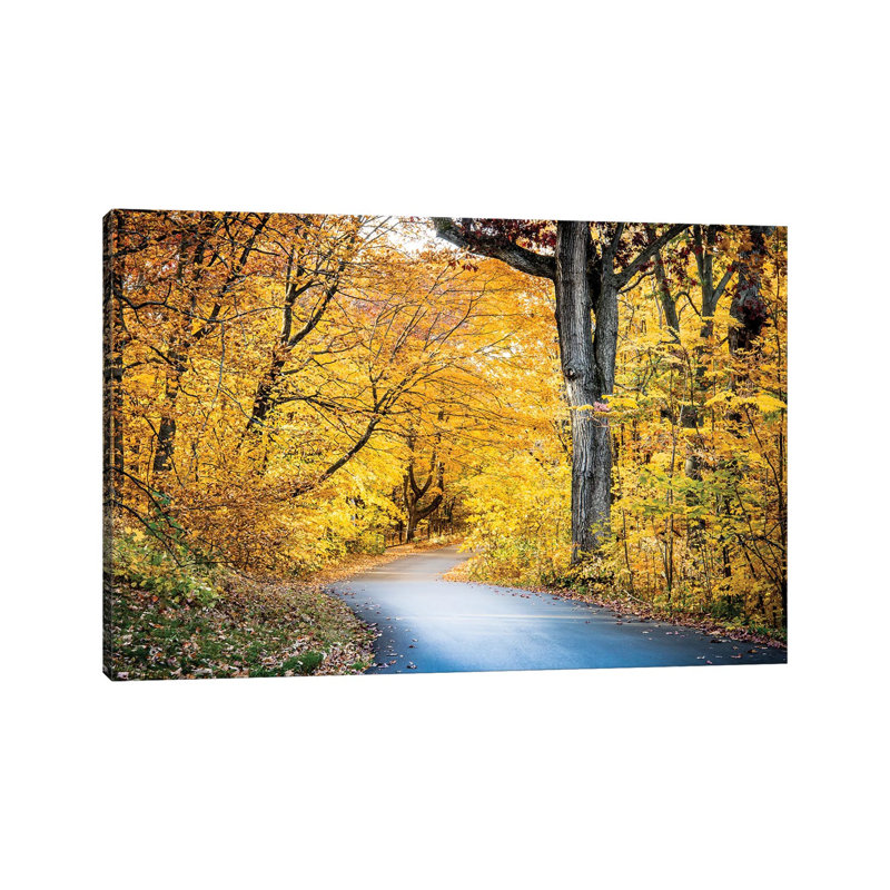 «Autumn's Embrace On 3 Mile Drive», reproduction d'art mural - toile tendue, H 18 po x l 26 po, Toile tendue