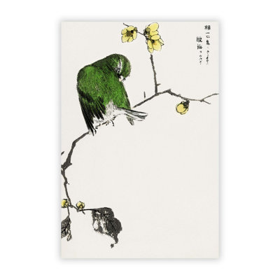 Green Fairy Pitta Bird by Numata Kashu - Frameless Print