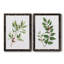 «Winter Botanical I», ensemble de 2 reproductions d'art-521697228-521697238-521697265