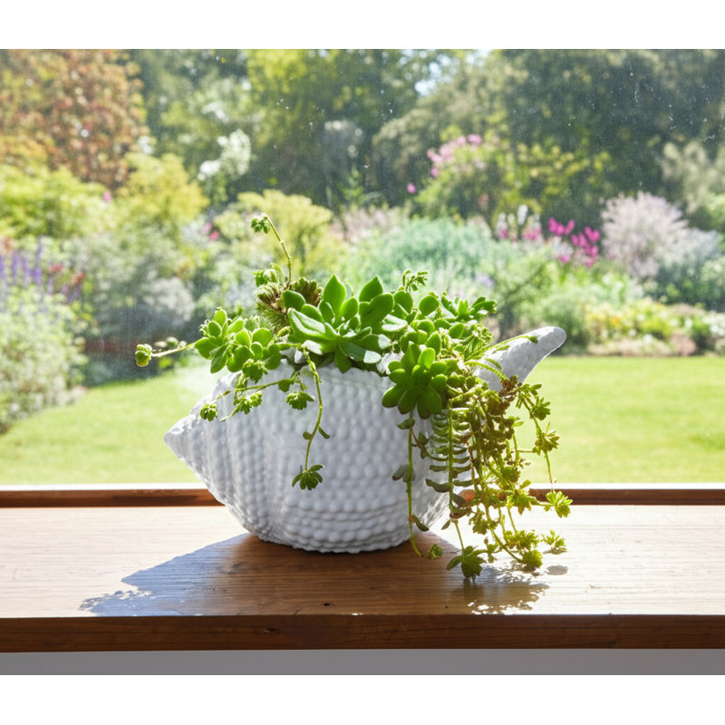 Décoration de jardin d'intérieur en forme de coquillage en céramique texturée en forme de coquillage - 6 po - blanc